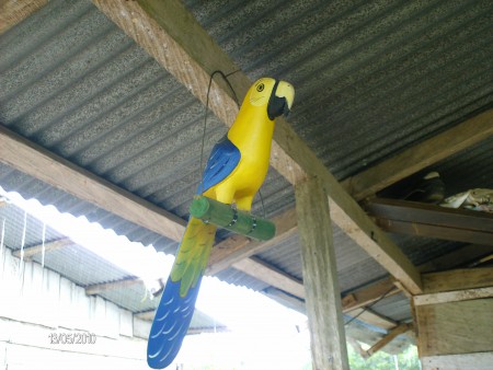 Talla en Madera